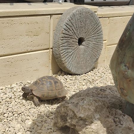 La Doi Pasi De Mare Hotel Vama Veche Kültér fotó