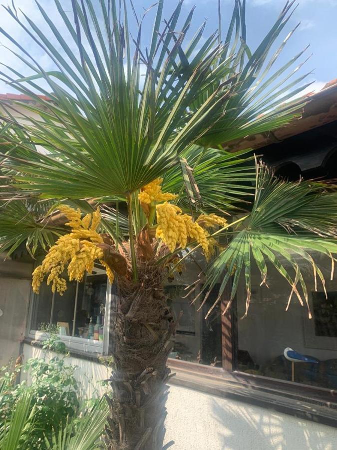La Doi Pasi De Mare Hotel Vama Veche Kültér fotó