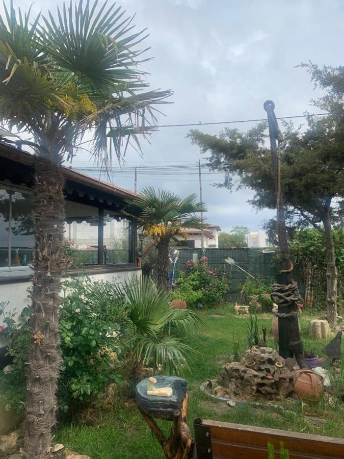 La Doi Pasi De Mare Hotel Vama Veche Kültér fotó