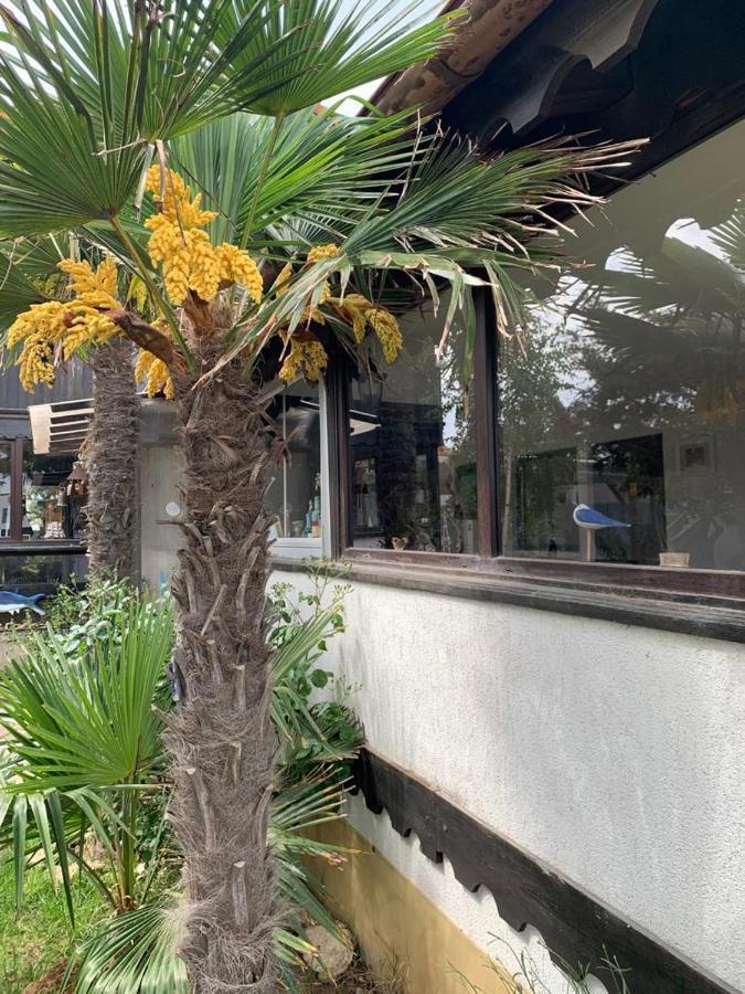 La Doi Pasi De Mare Hotel Vama Veche Kültér fotó