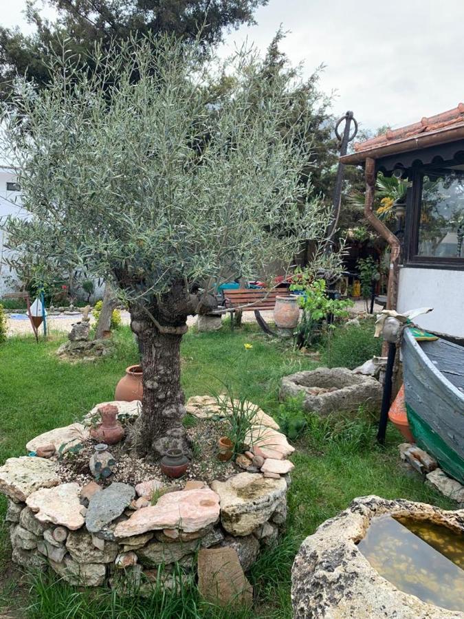 La Doi Pasi De Mare Hotel Vama Veche Kültér fotó